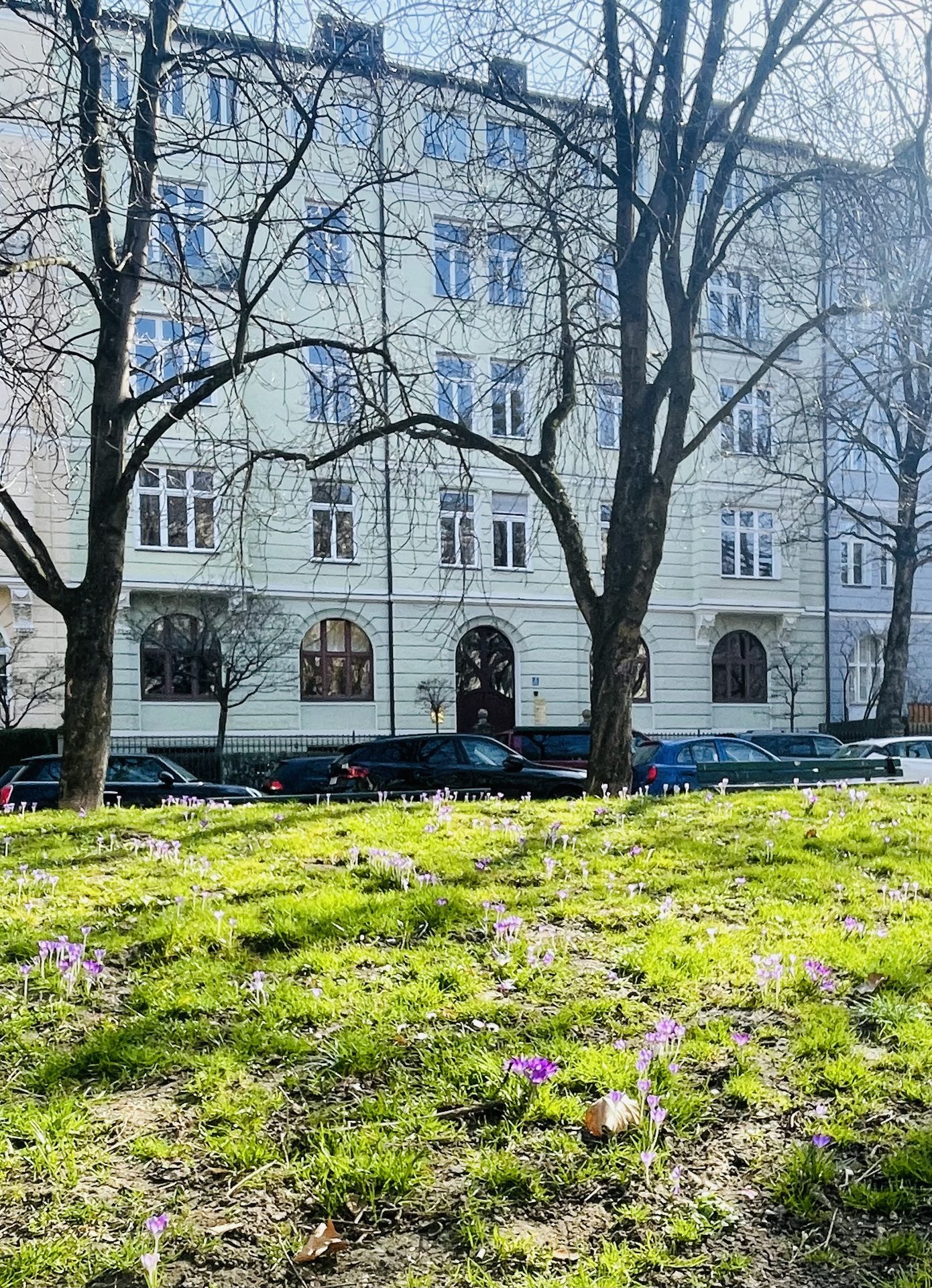 Psychotherapeutische Praxis: Raum in wunderschönem Schwabinger Altbau - Bild 1