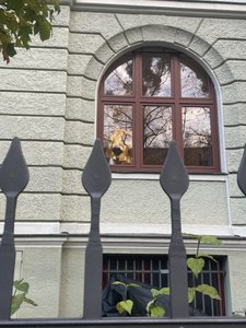 Psychotherapeutische Praxis: Raum in wunderschönem Schwabinger Altbau - Bild 2